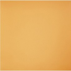 Керамогранит Грани Таганая Профи GT061 60*60 янтарь